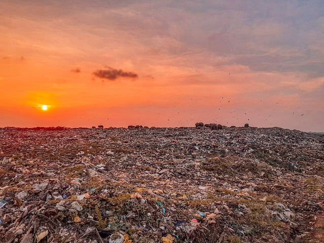 Vuilstort in Nijmegen