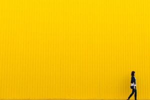 Behanger in Nijmegen